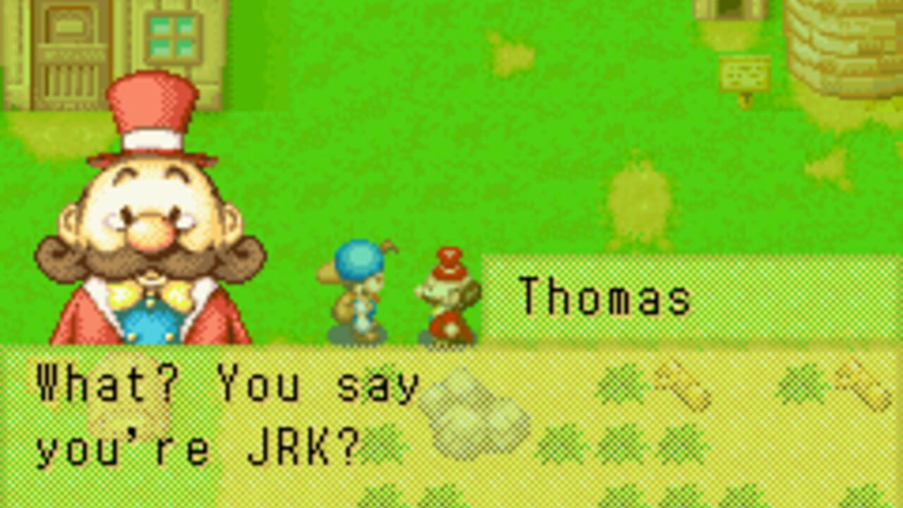 Harvest Moon: Friends of Mineral Town thumbnail 4
