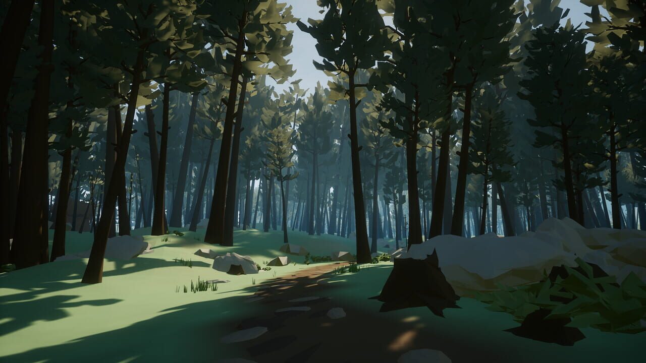 Forestry Image