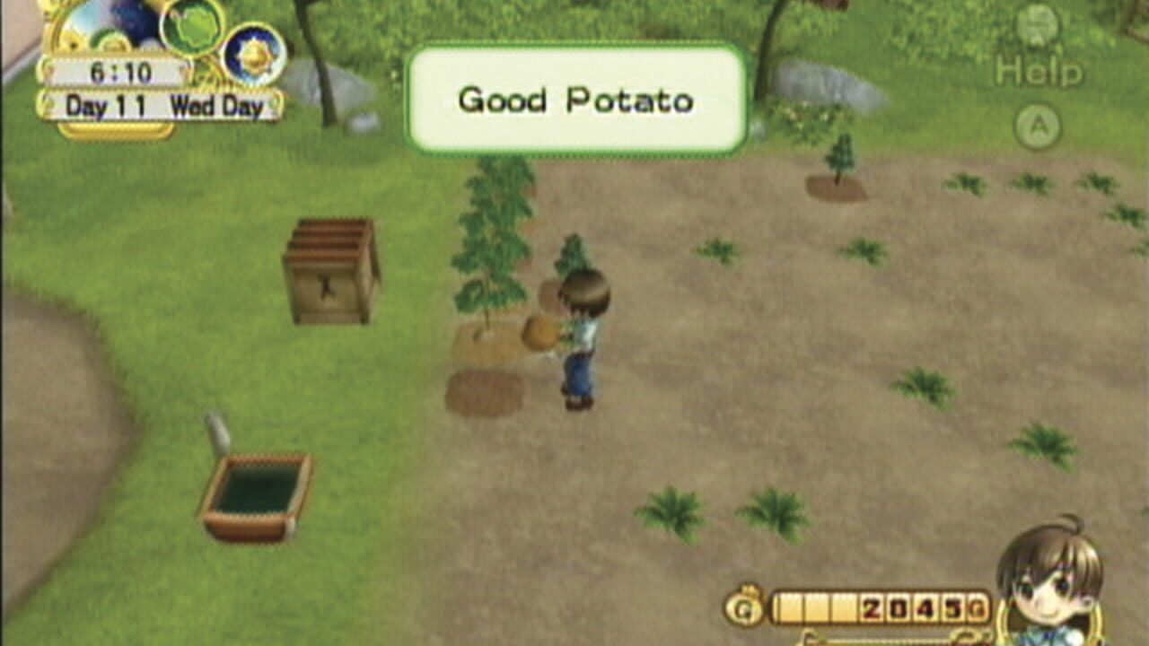 Harvest Moon: Tree of Tranquility thumbnail 12