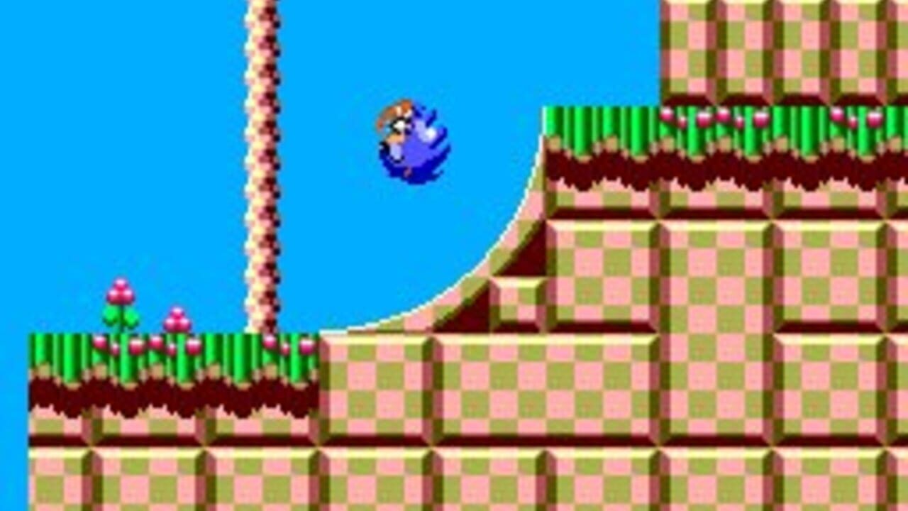 Sonic the Hedgehog Chaos miniatura 7