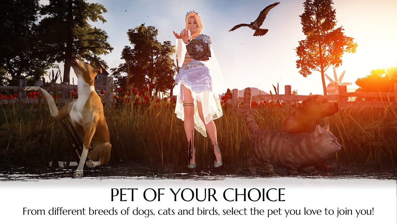Black Desert Online: Explorer's Package Image