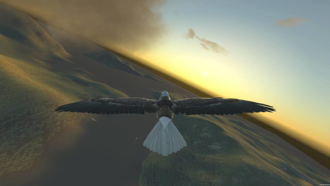 Aquila Bird Flight Simulator — Screenshot 3