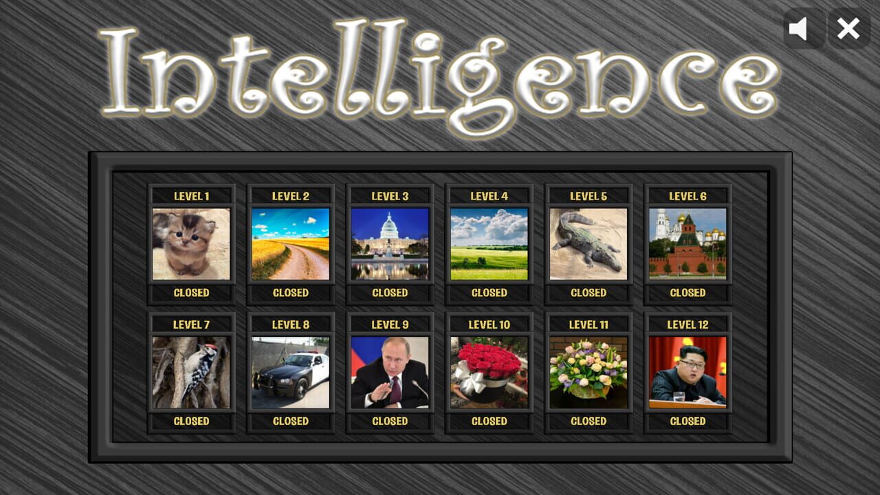Intelligence Image