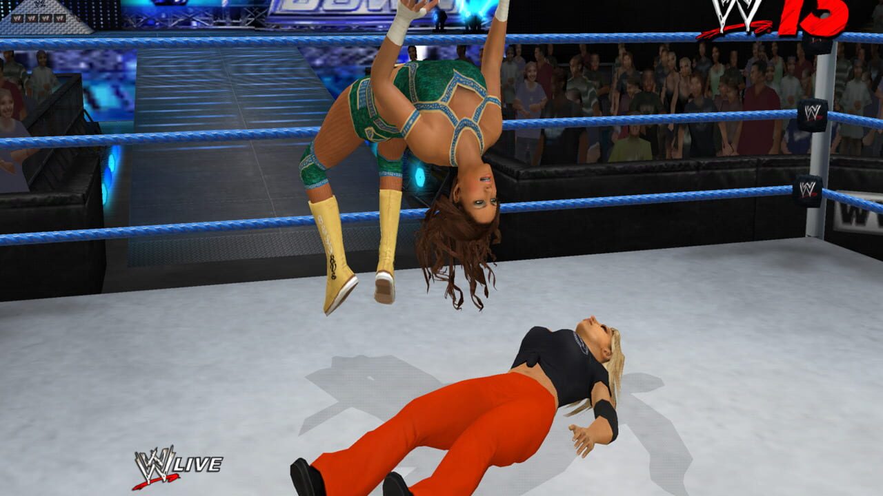 WWE '13 Image