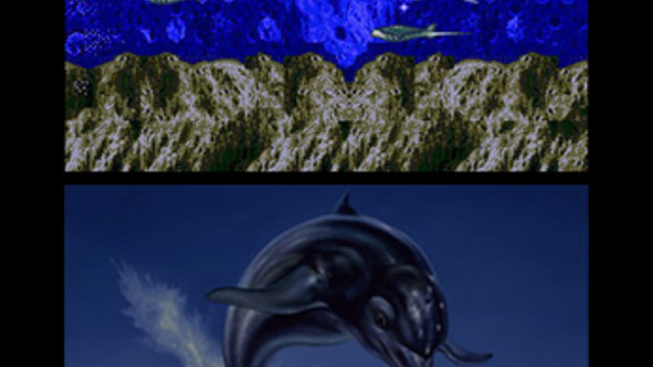 3d ecco the dolphin