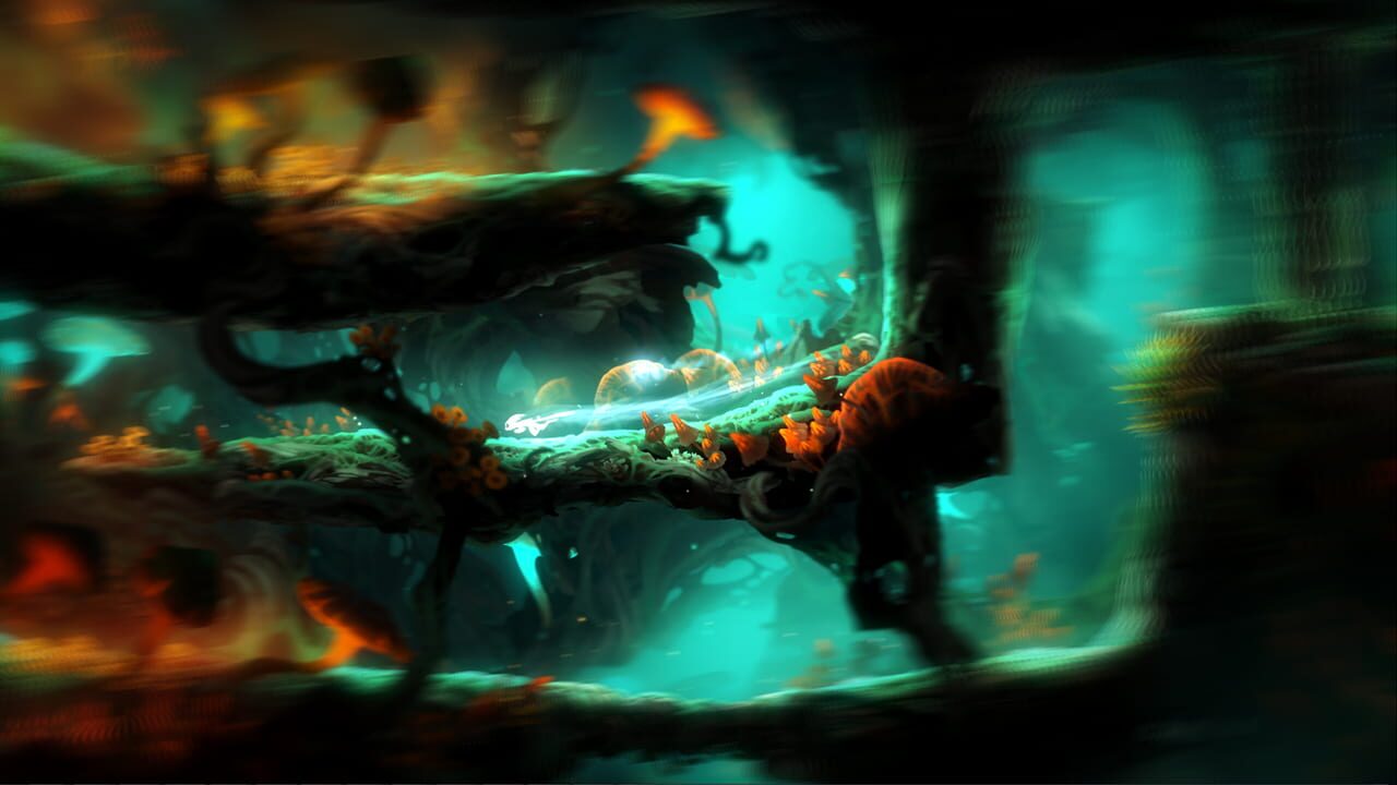 Ori and the Blind Forest: Definitive Edition Image