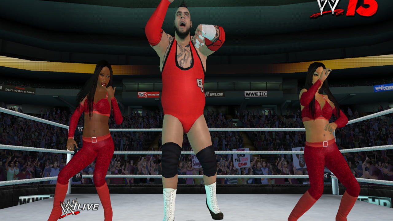 WWE '13 Image