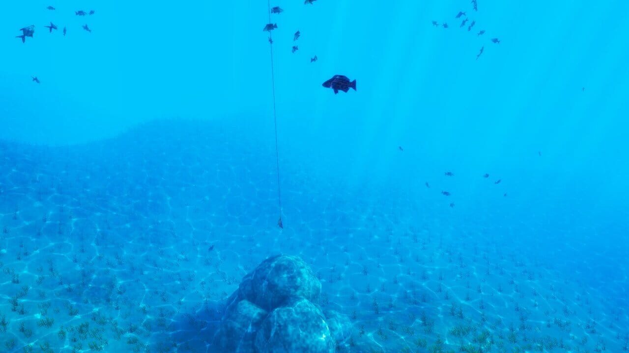 The Fishing Club 3D Image