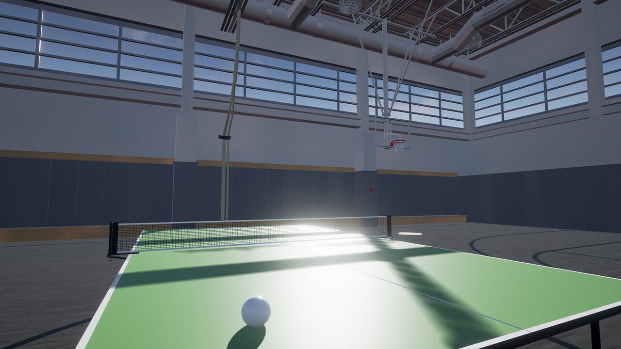 Table Tennis VR — Screenshot 2