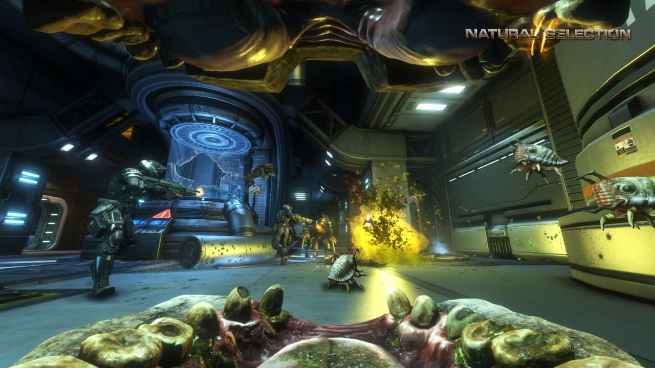 Natural Selection 2 - Deluxe DLC — Screenshot 4