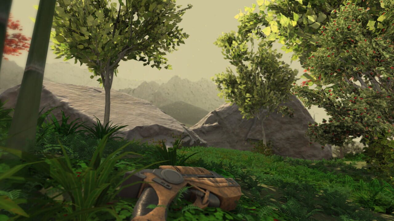 The Frontier Outskirts VR Image
