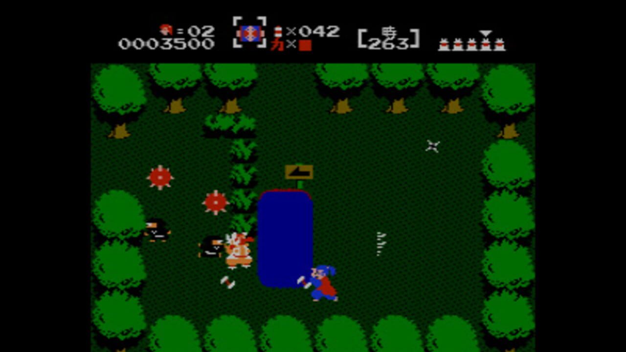 The Mysterious Murasame Castle Screenshot 1