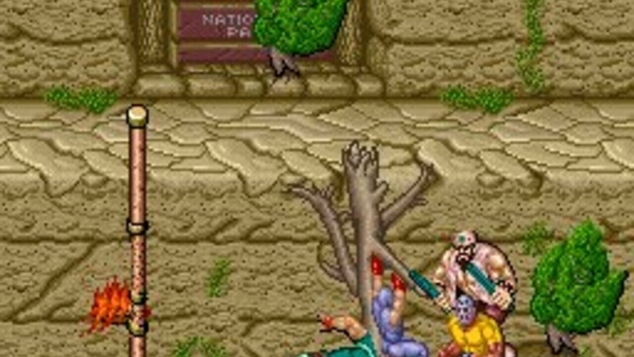 Ninja Gaiden miniatura 7