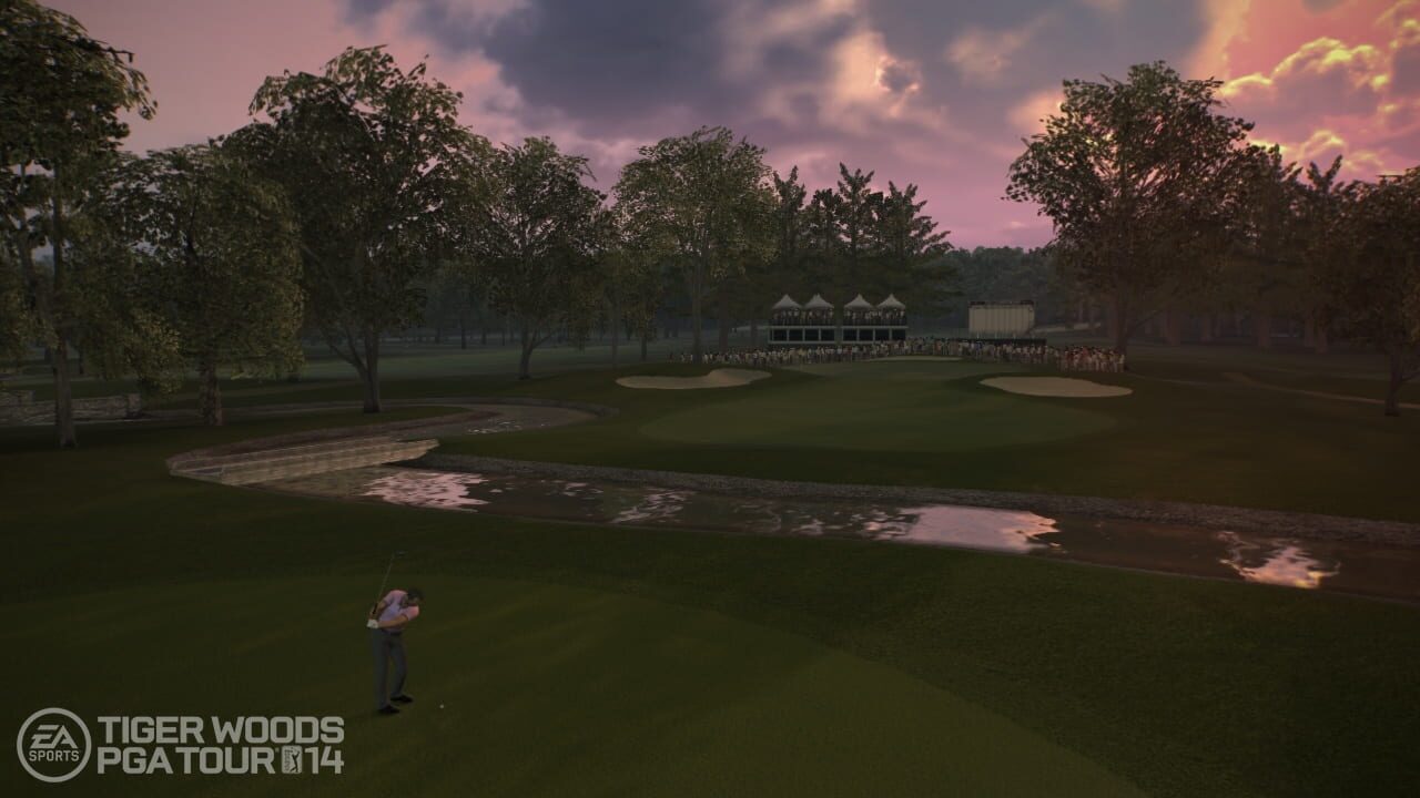 Tiger Woods PGA Tour 14 Image