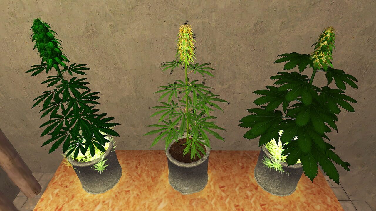 Weed Shop 2 Image