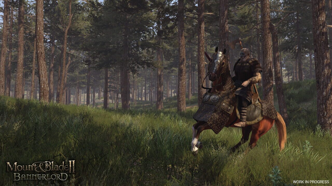Screenshot 2 - Mount And Blade 2 Bannerlord