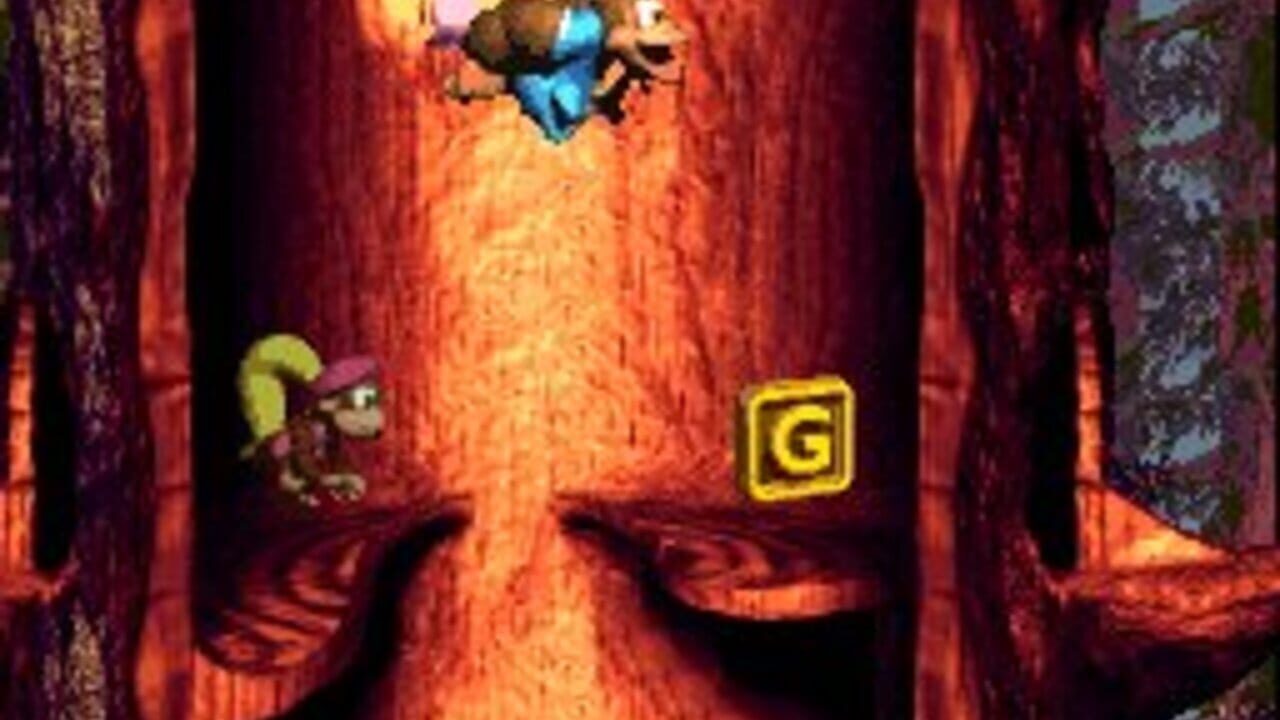 Donkey Kong Country 3: Dixie Kong's Double Trouble! thumbnail 11