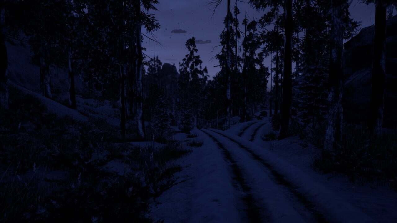 Before Nightfall Image