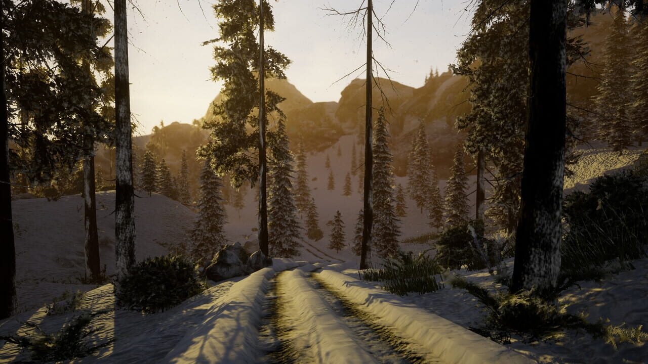 Before Nightfall Image