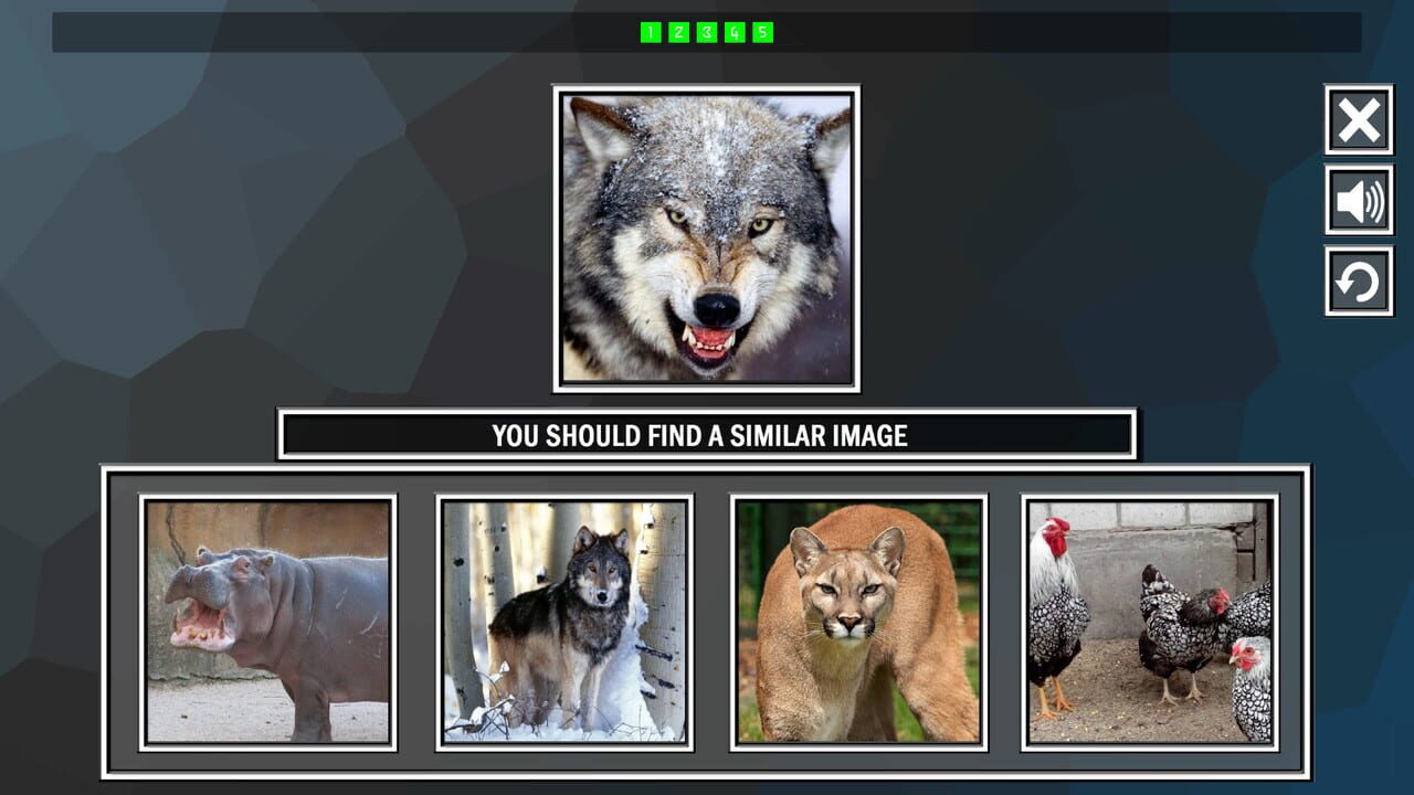 Repeat the image: Animals — Screenshot 2