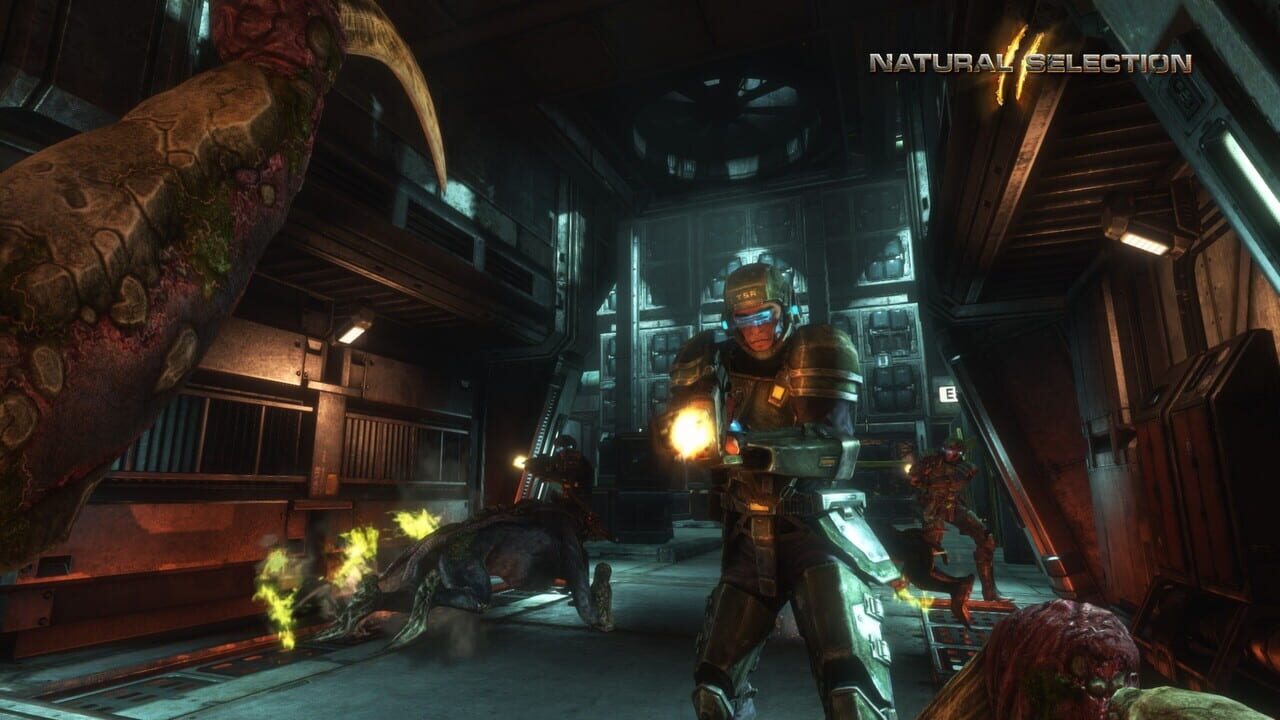 Screenshot 8