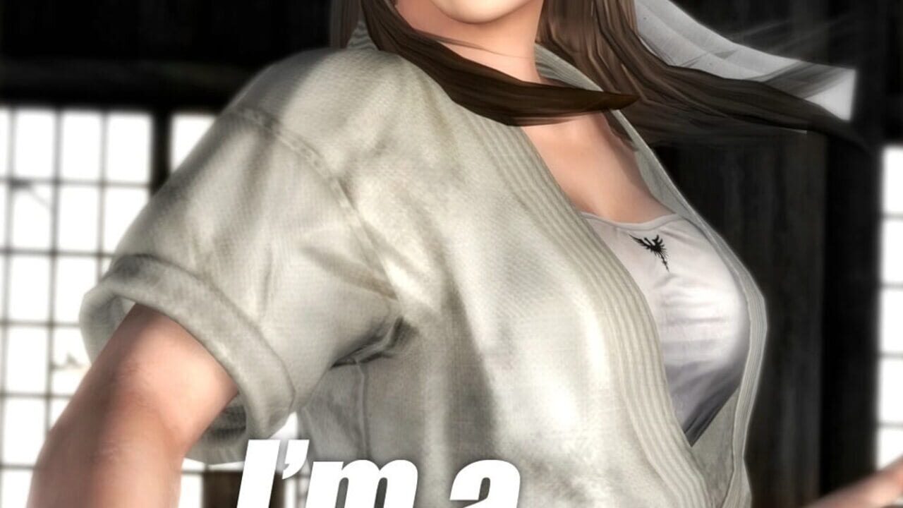 Dead or Alive 5 Image