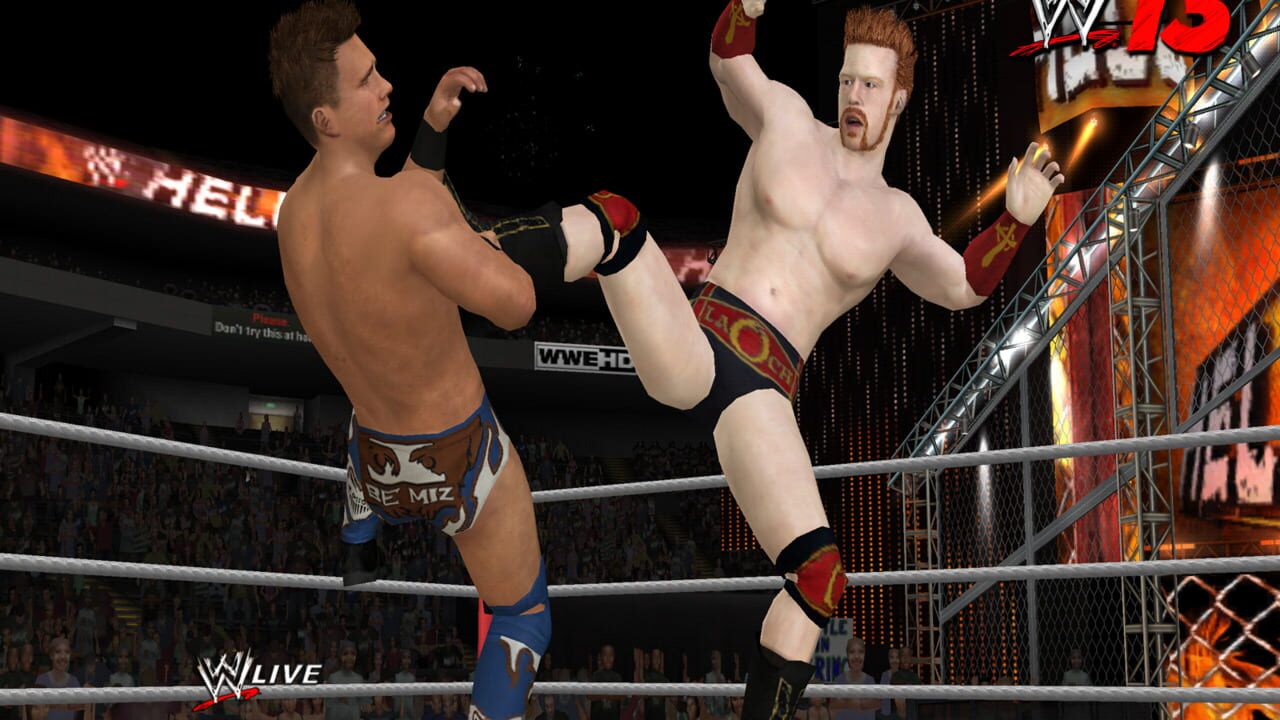 WWE '13 Image