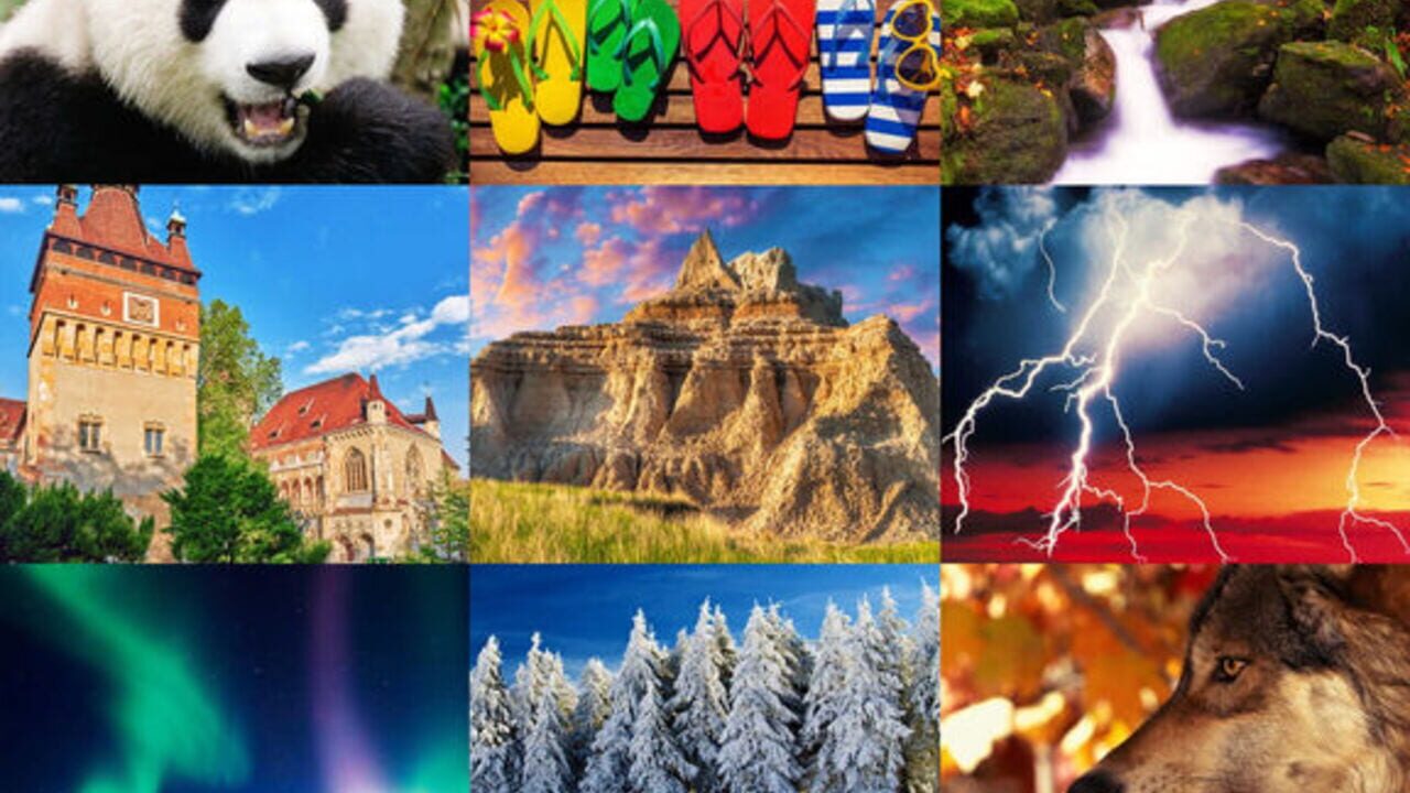 Jigsaw Puzzle Pro Image