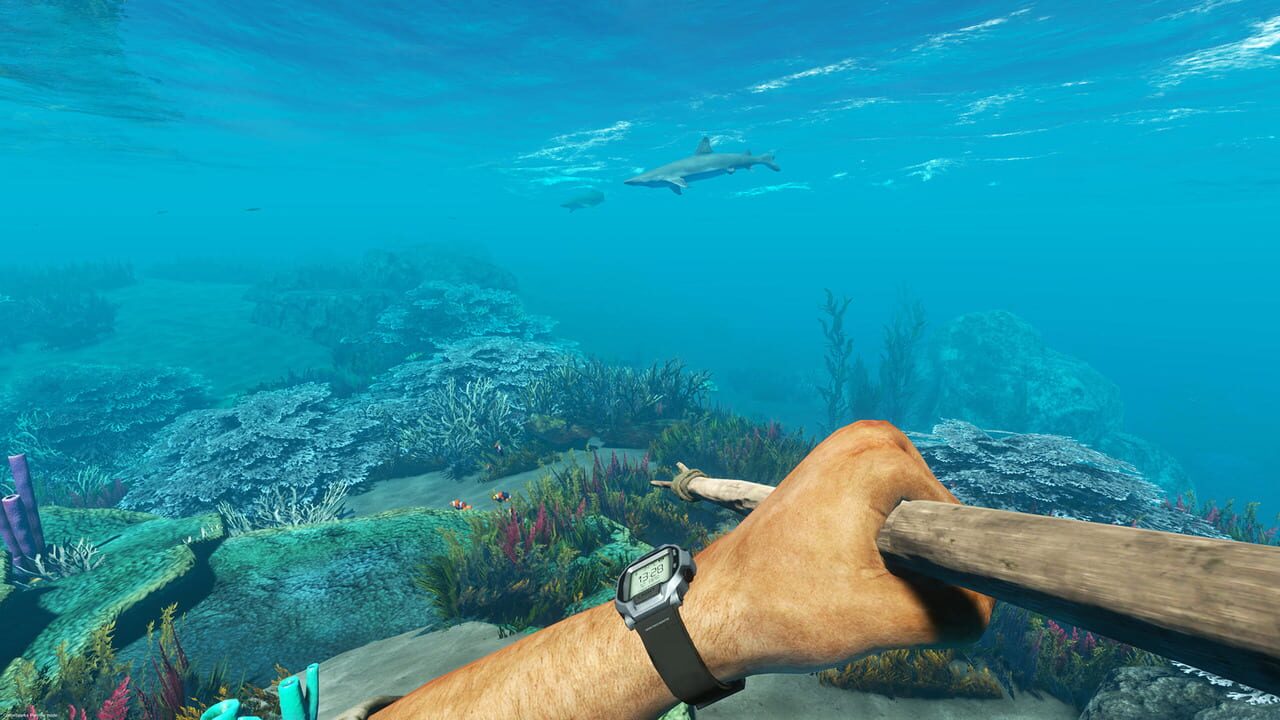 Stranded Deep Image