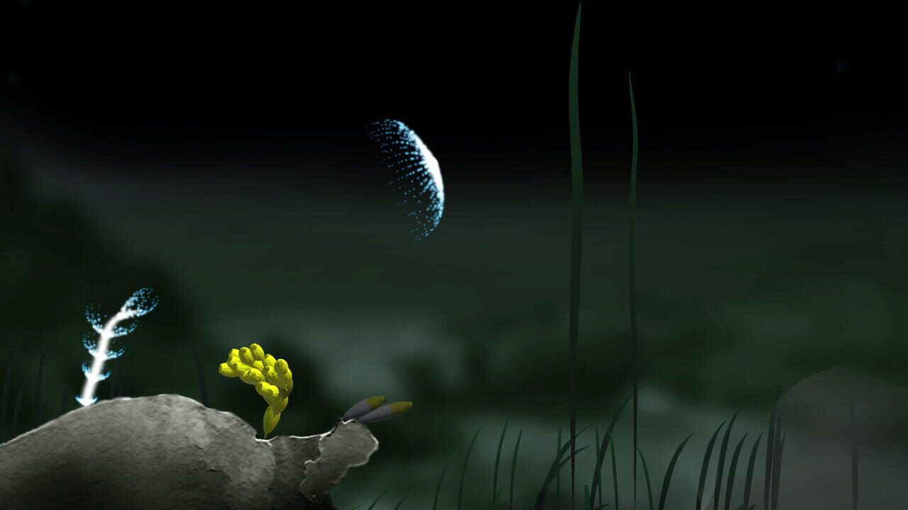 Jellyfish — Screenshot 3