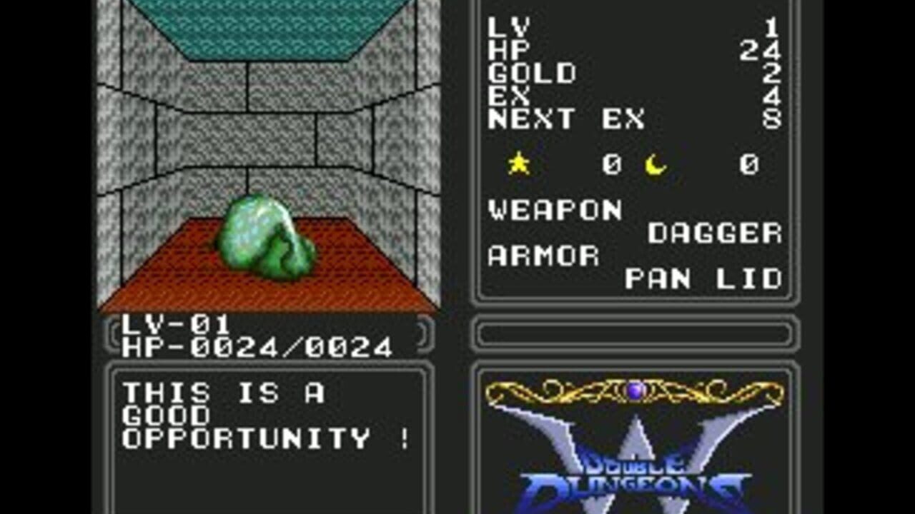 Double Dungeons