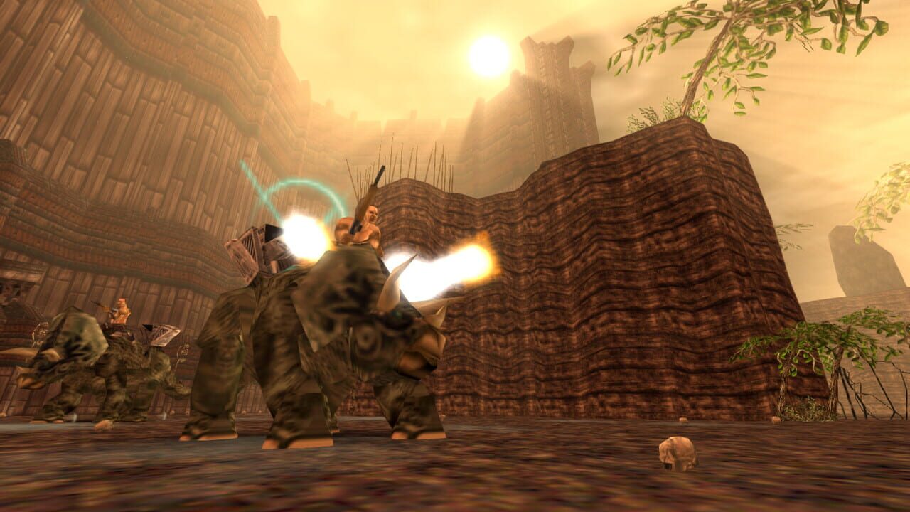 Turok Image