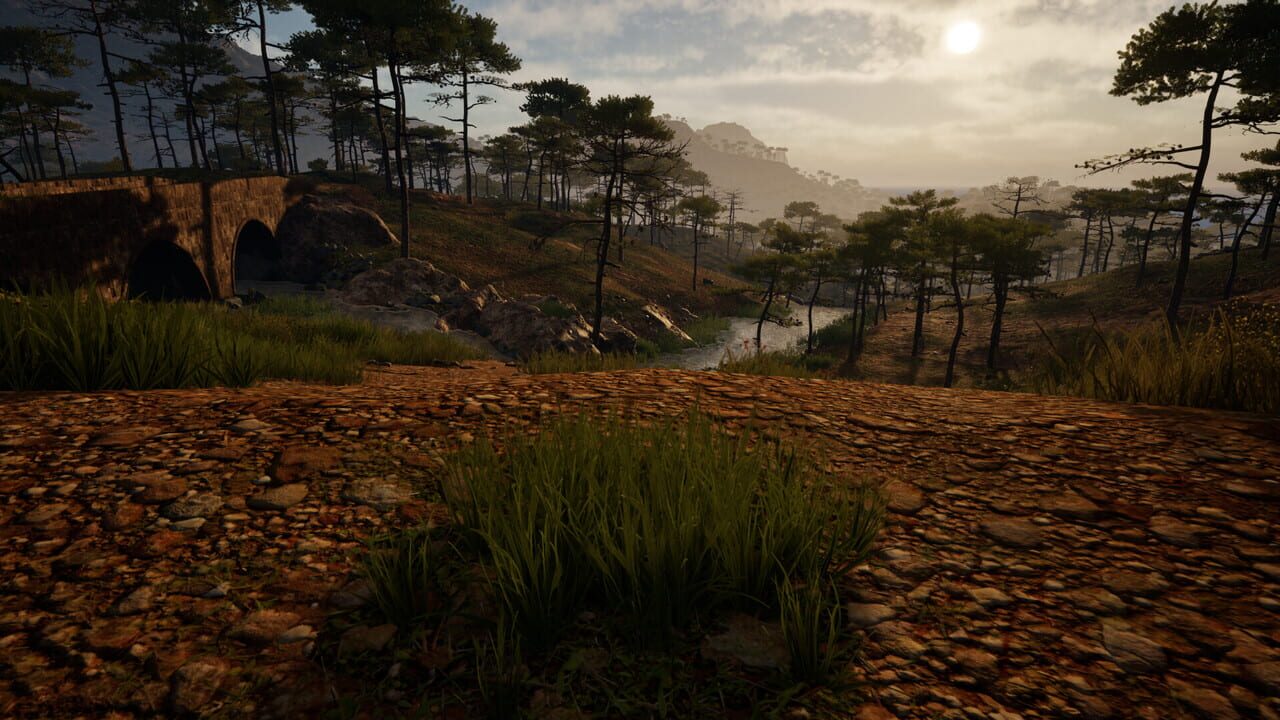 Grass Life Sim 2 media