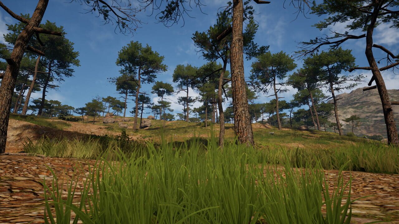 Grass Life Sim 2 Image
