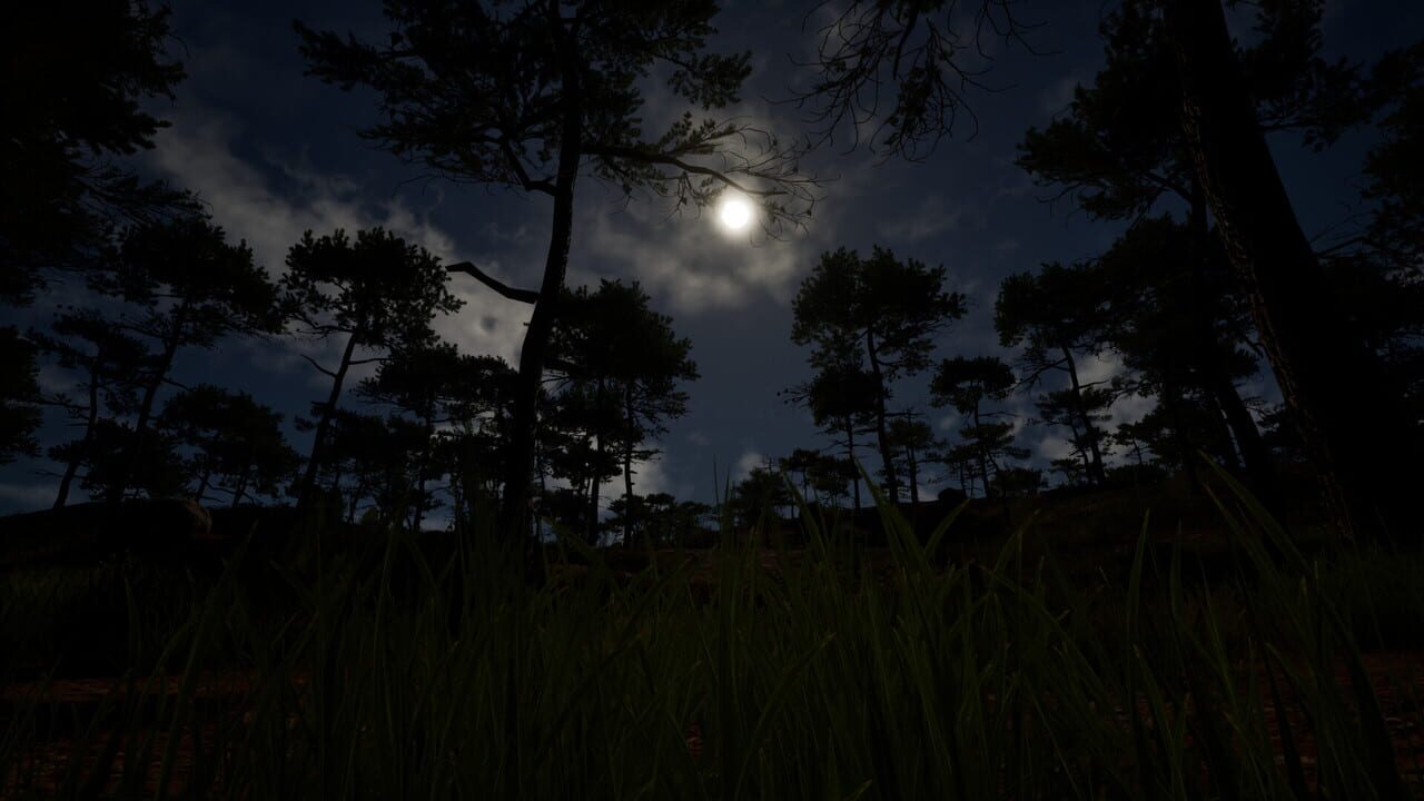 Grass Life Sim 2 Image