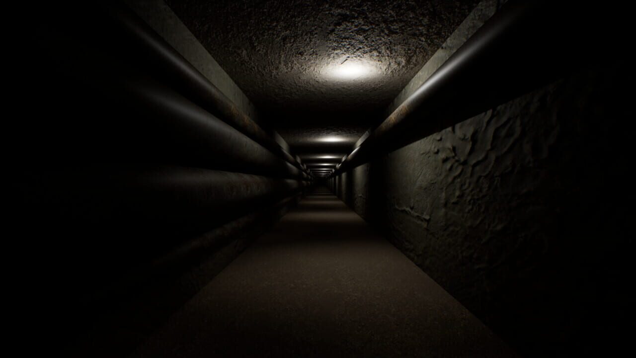 Lost in the Backrooms: Day 100 Image