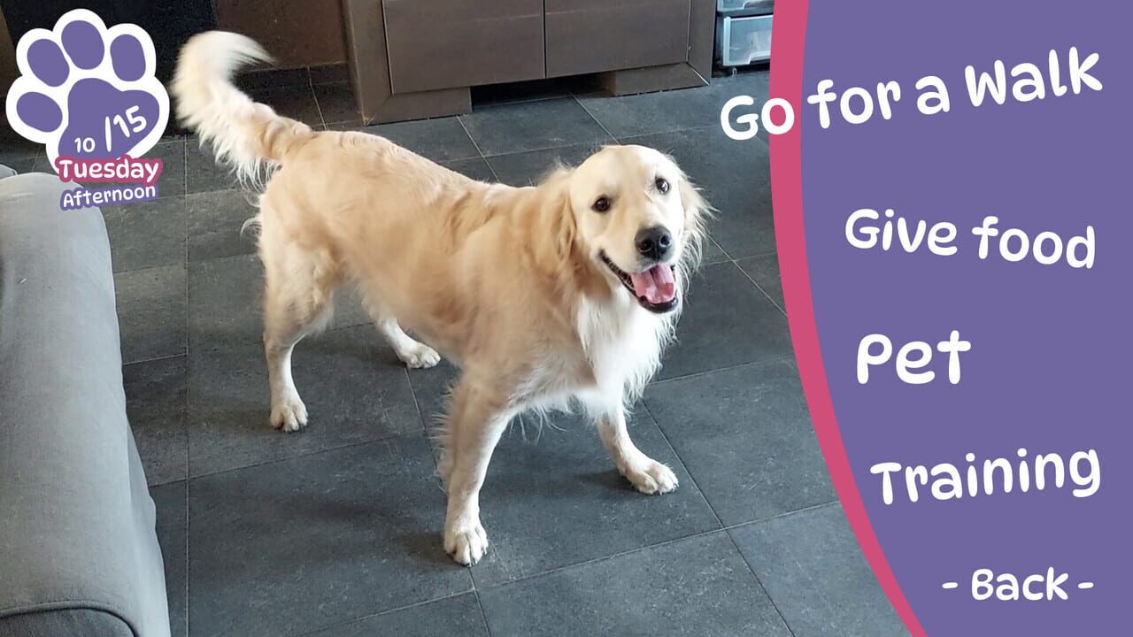 Golden Retriever Simple Life Image
