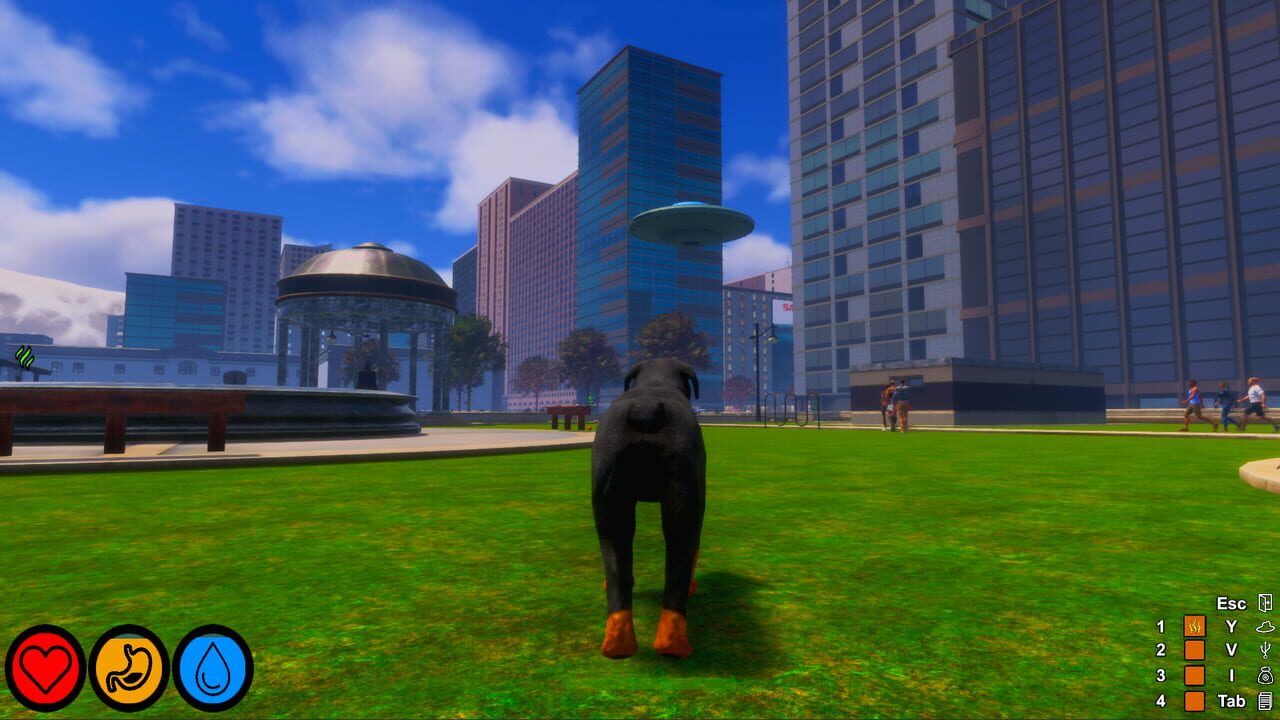 Screenshot 17