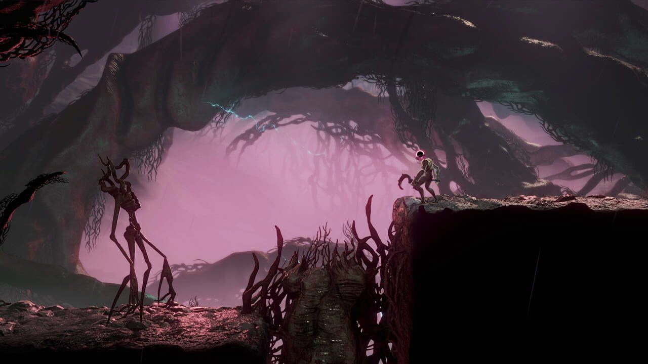 Hunt or Hunted Bundle Image