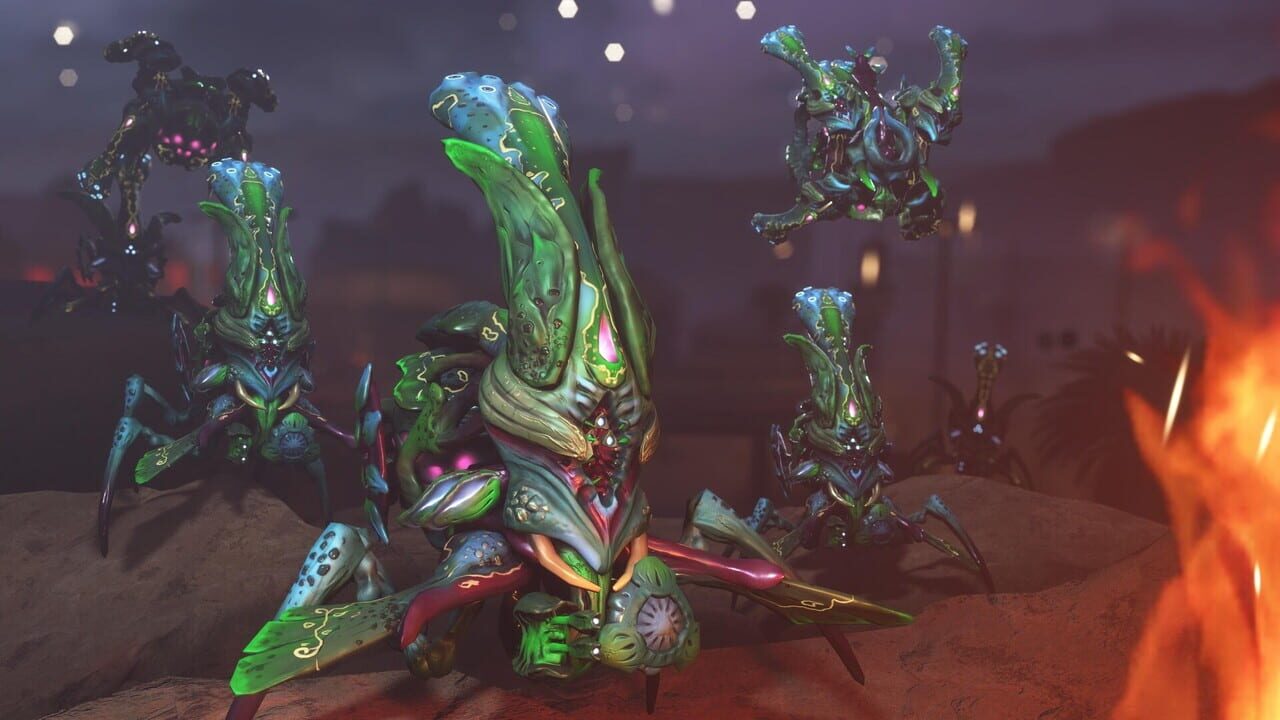 Shrot Image