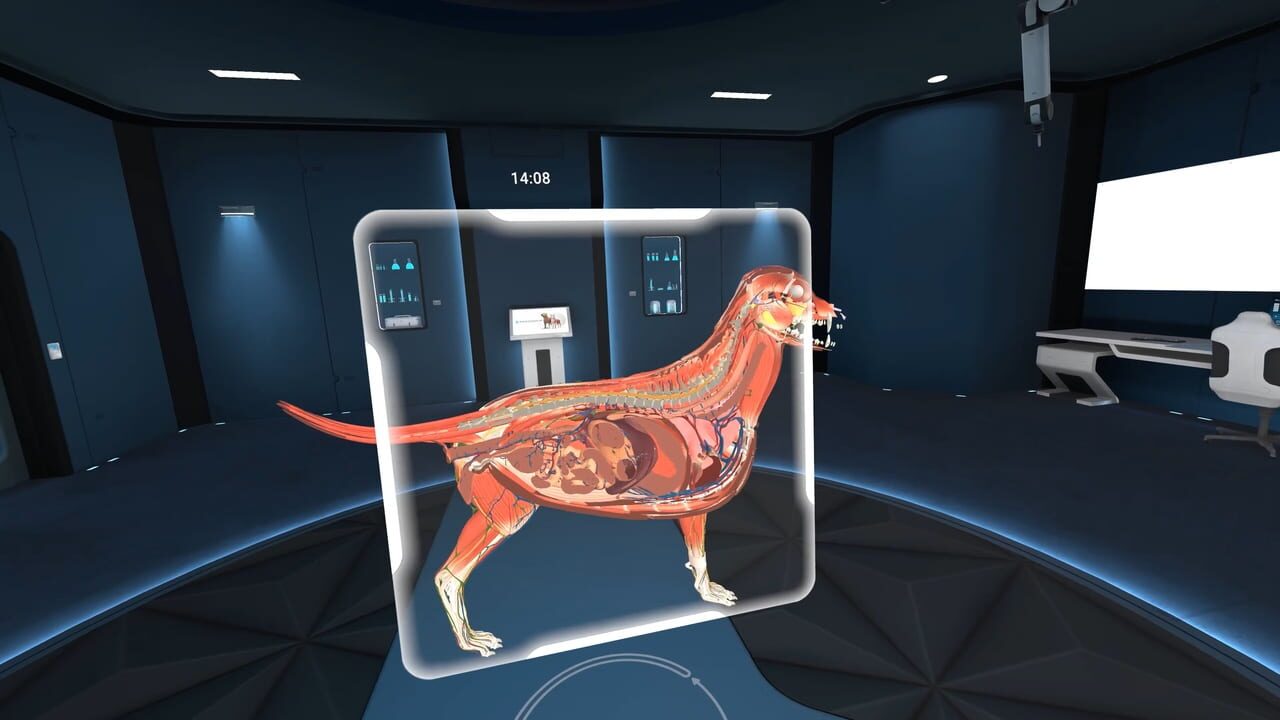 Animal Anatomy VR Image