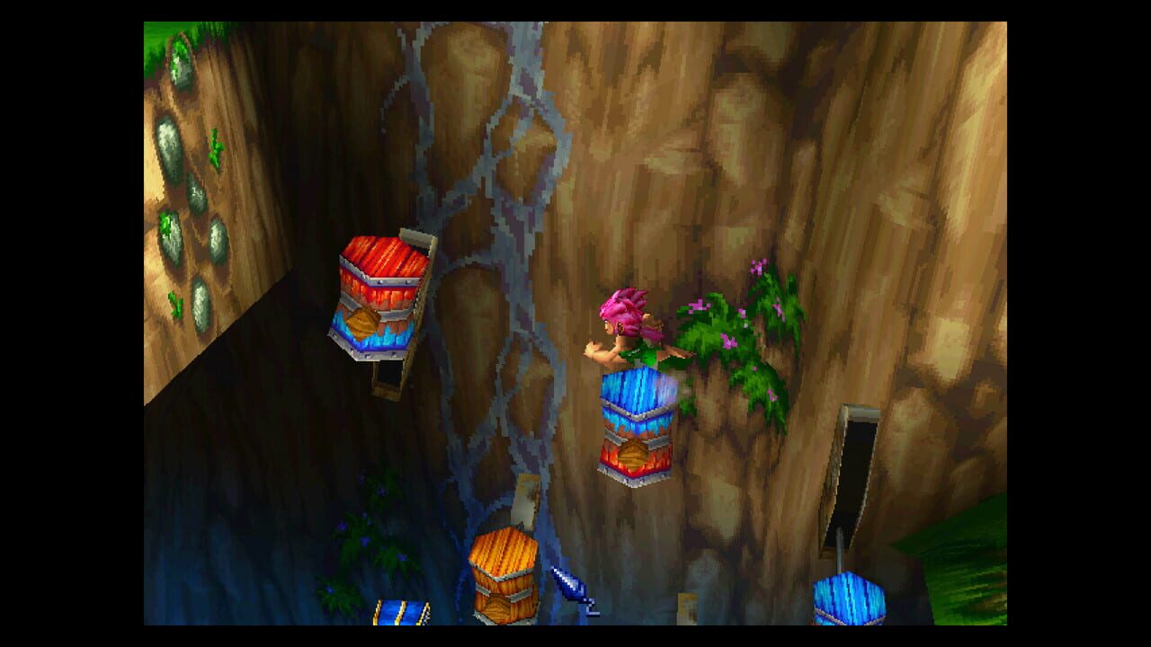 Tomba! 2: The Evil Swine Return Special Edition Image