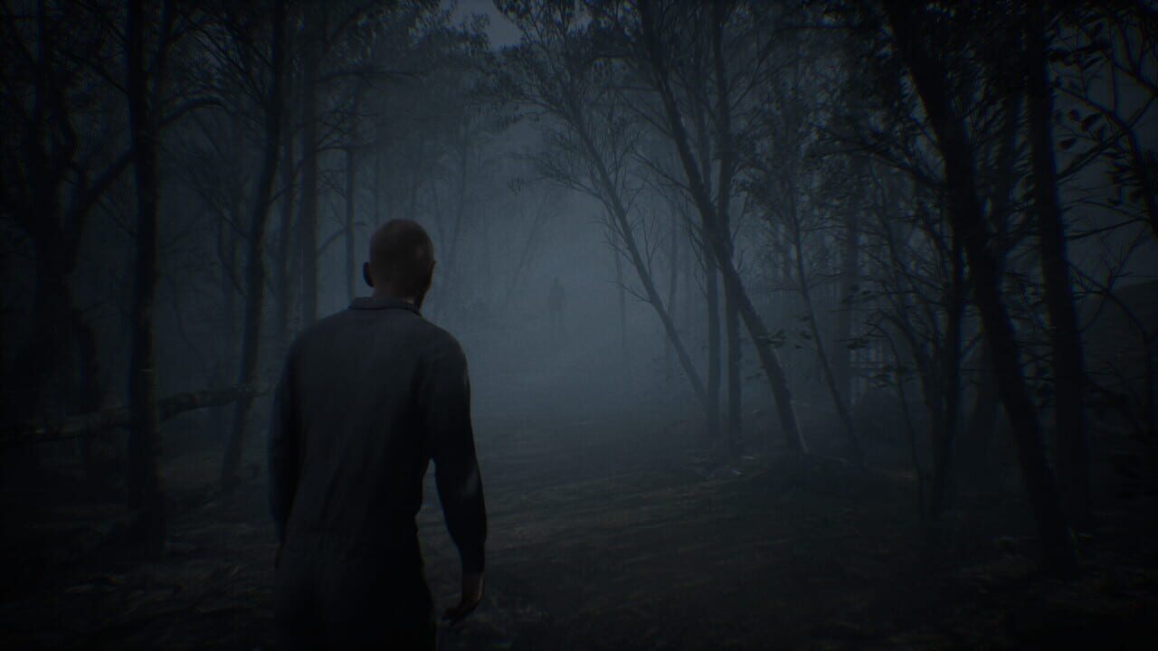Phantom Lamb Image