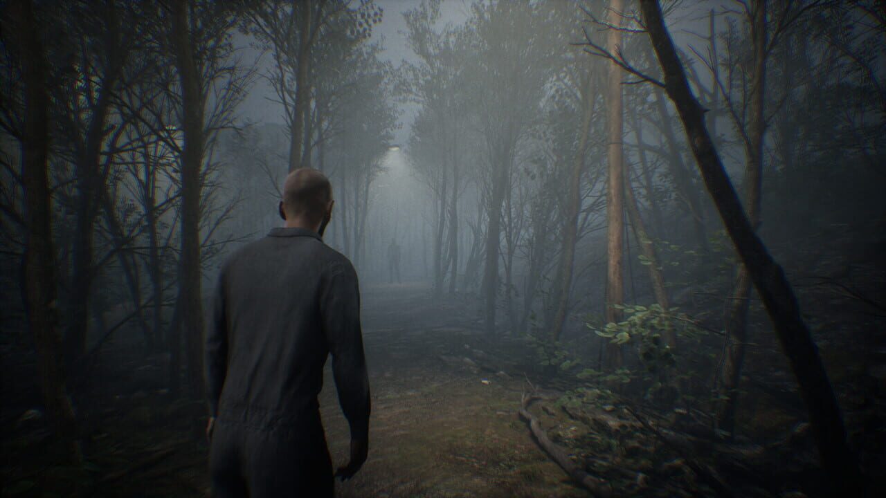 Phantom Lamb Image