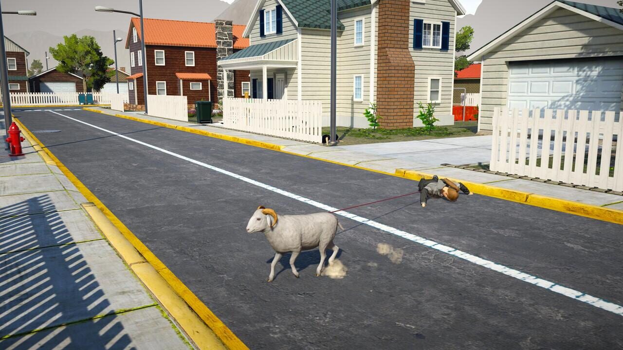 Ram Simulator Image