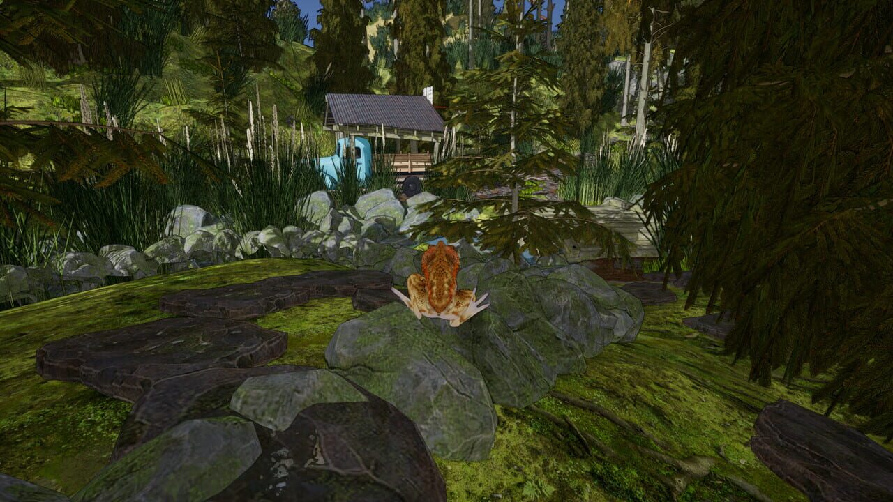 Crazy Toad — Screenshot 2