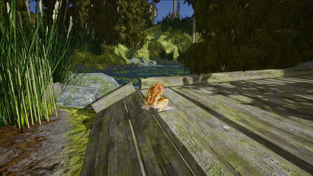 Crazy Toad — Screenshot 3