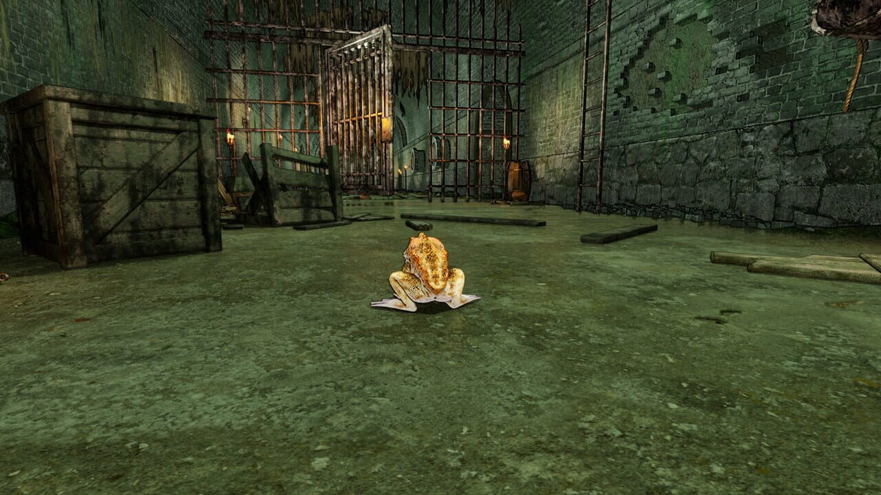 Crazy Toad — Screenshot 4