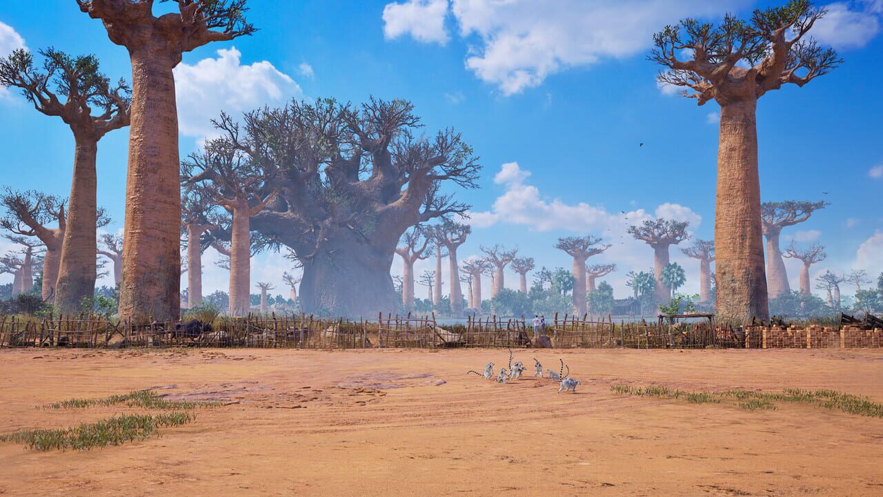 Tekken 8: Baobab Horizon Image