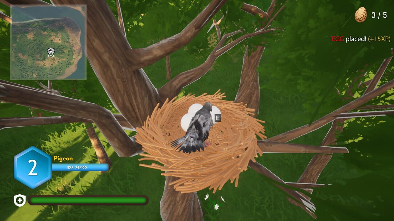 Bird Game 3 — Screenshot 3